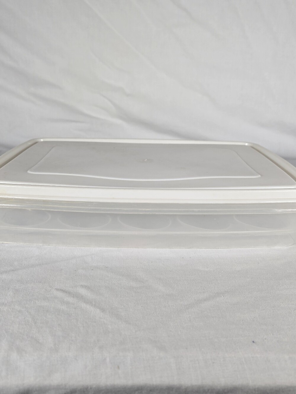 Vintage Rubbermaid Servin Saver Deviled Egg Container White Lid 20 Halves